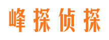 大东商务调查